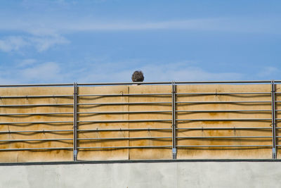 Cropped image of person at railing against sky