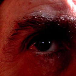 Extreme close up of human eye
