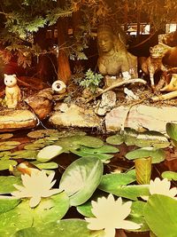 Close-up of snake on plant