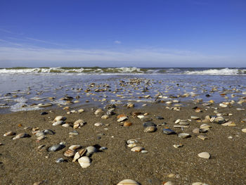 Scenic view of sea against blue sky