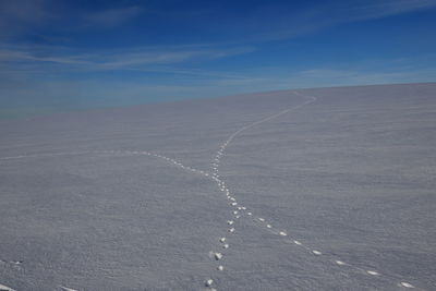 Scenic view of snow landscape with animal traces against blue sky