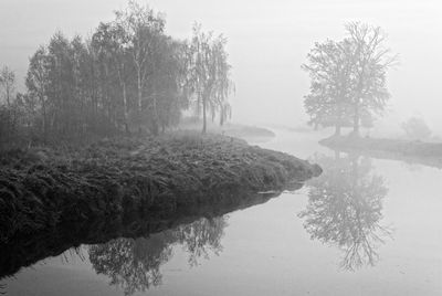 Reflection of trees in lake against sky during winter
