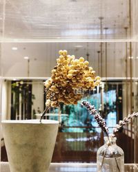 Close-up of flower vase against glass window