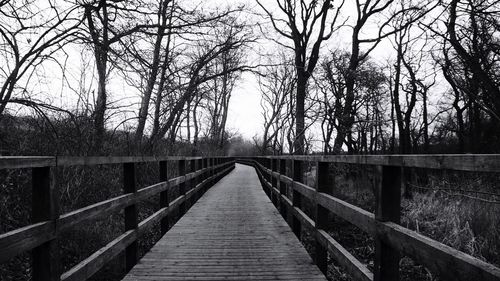 Wooden footbridge along trees