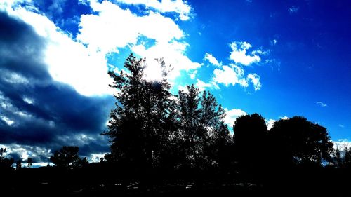 Low angle view of silhouette trees against sky