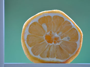 Close-up of lemon slice on table