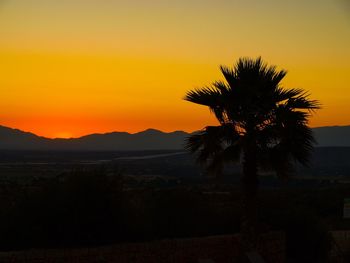 Silhouette tree against orange sky