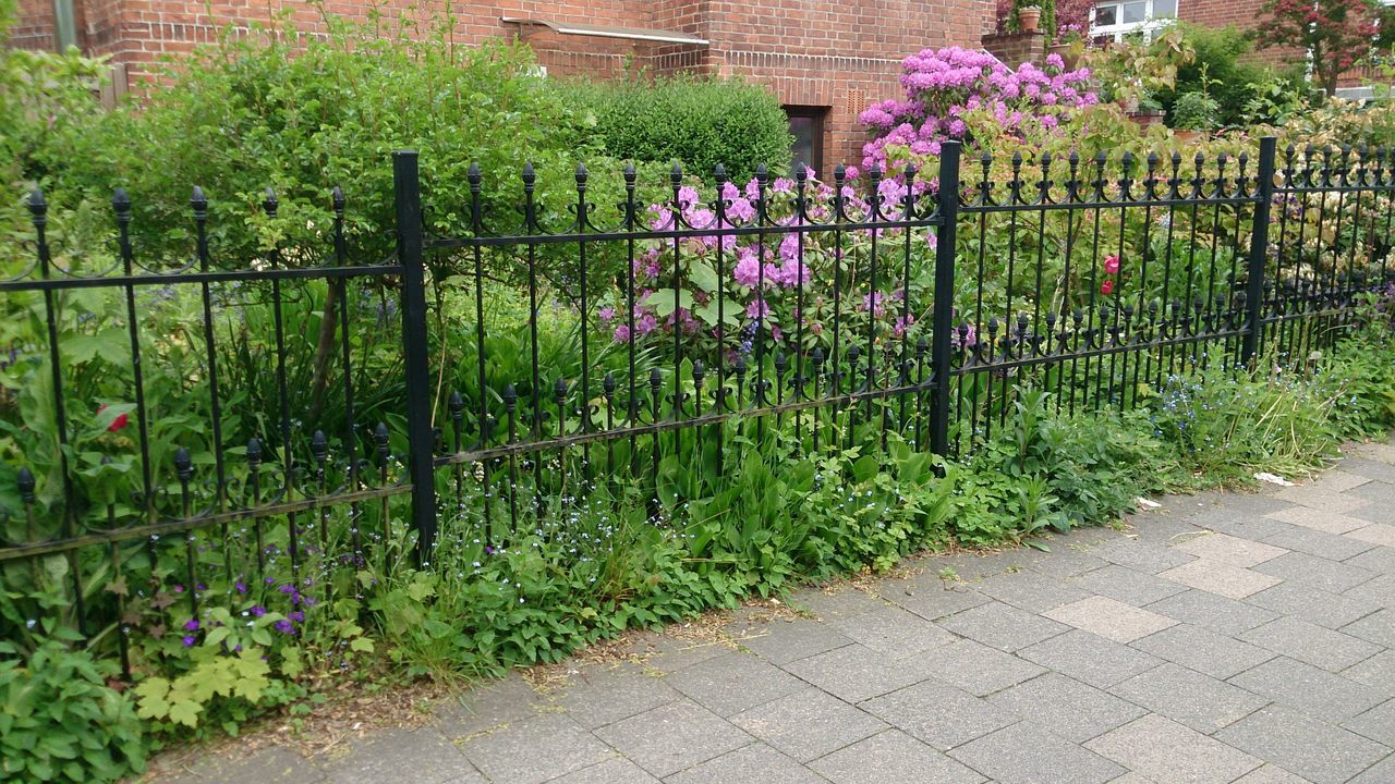 fence, green color, plant, protection, growth, safety, security, chainlink fence, day, flower, outdoors, nature, metal, gate, wall - building feature, built structure, no people, in a row, grass, multi colored