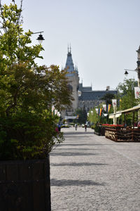 Building with trees in background