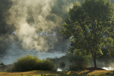 Morning mist on mrežnica river, croatia