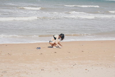 Dog standing on beach by sea against sky