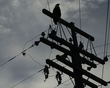 Low angle view of built structure against sky