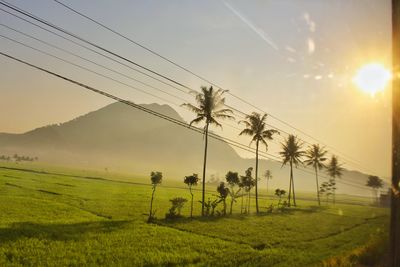 Scenic view of field against sky during sunset