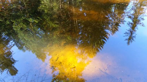 Reflection of trees in lake against sky