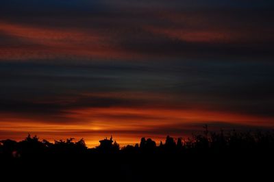 Silhouette trees against orange sky