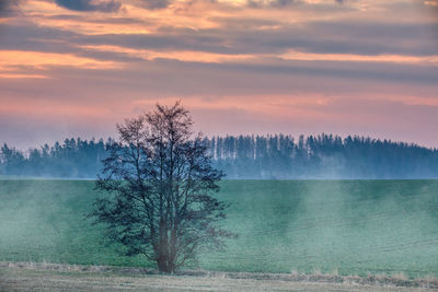 Scenic view of landscape against sky during sunset