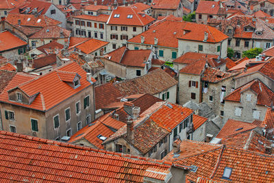 View on the red tile roofs of the old town of kotor