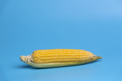 Sweetcorn against blue background