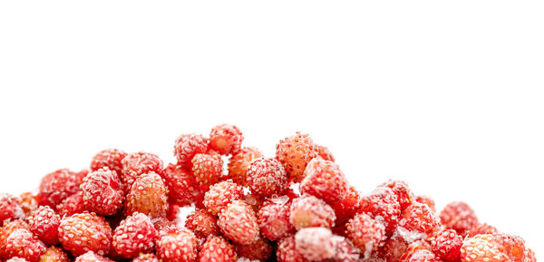 Lot of frozen wild forest strawberry on white background. 