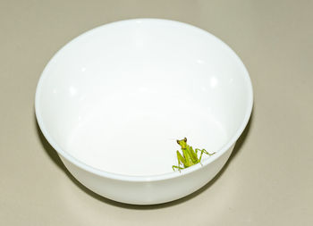 High angle view of white plate on table