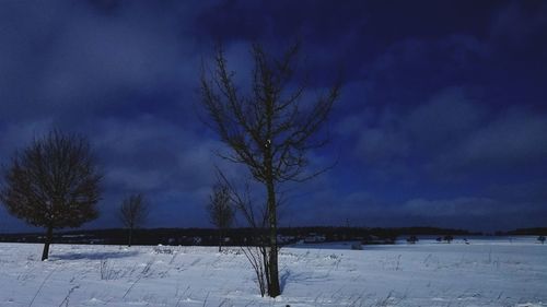 Bare trees on snow covered field against sky