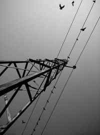 Low angle view of power lines against sky