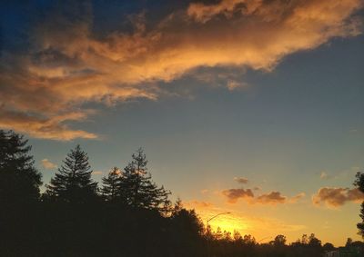 Silhouette trees against dramatic sky during sunset