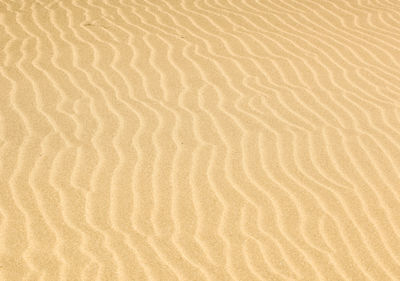 Full frame shot of sand dune