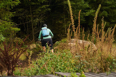 Rear view of man walking in forest