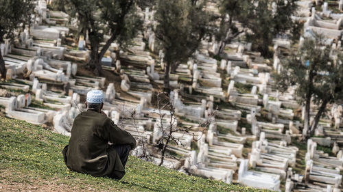 Rear view of man sitting in park