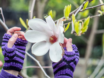 Close-up of hand holding purple flower