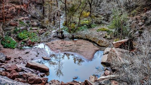 Stream flowing through rocks in forest