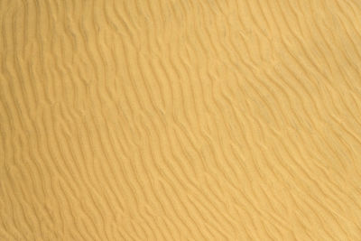 backgrounds