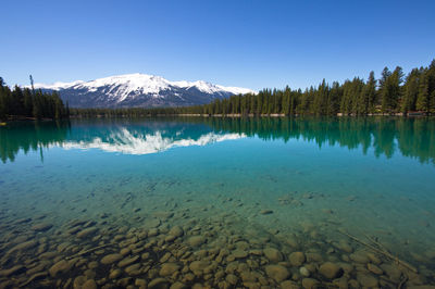 Scenic view of lake by trees against clear blue sky