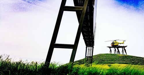 Low angle view of trees against sky