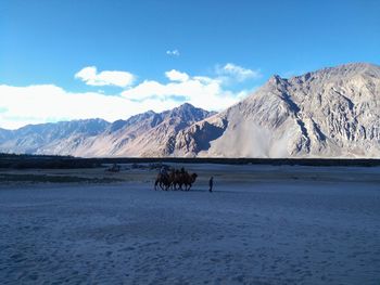 Scenic view of people on snowcapped mountains against sky