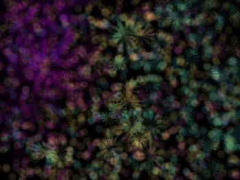 Full frame shot of plants