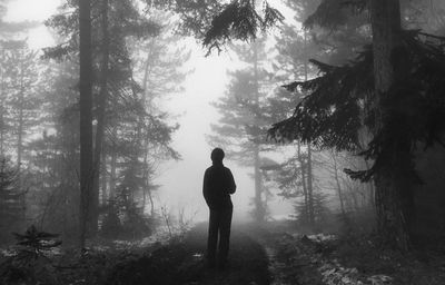 Rear view of man standing in forest