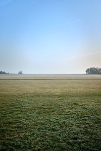 Scenic view of field against clear sky