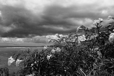 Scenic view of sea against cloudy sky