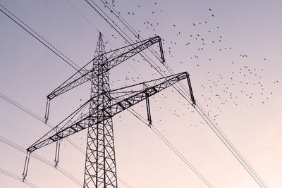 Low angle view of electricity pylon and silhouette birds flying against sky