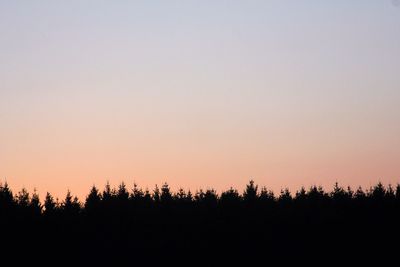 Silhouette trees in forest against clear sky