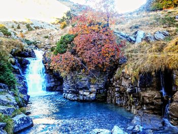 View of waterfall in forest during autumn