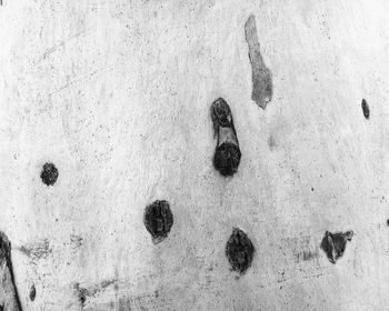 High angle view of footprints on snow covered wall