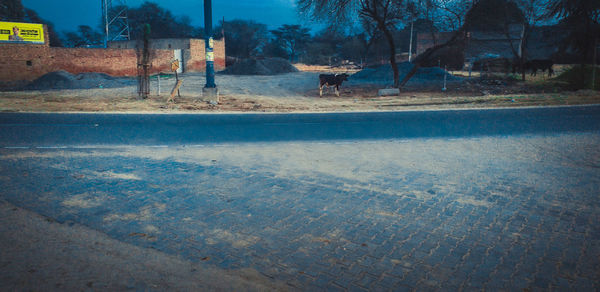 View of city street during winter