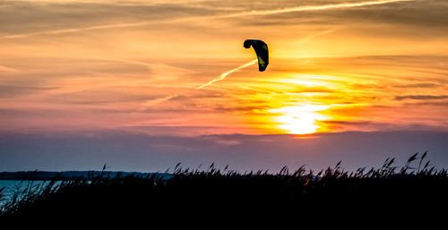 Low angle view of silhouette kite against sky during sunset kitesurf