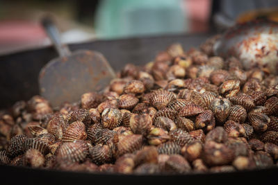 Cooked blood cockles on the plate, close-up.