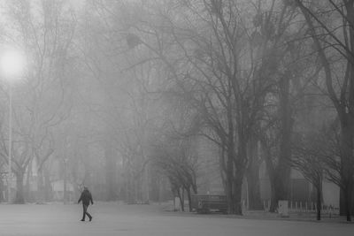 People walking on road