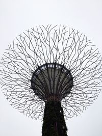 Low angle view of plant against clear sky