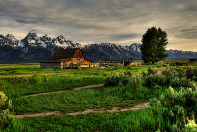 House on field against sky